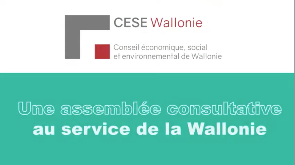 Animation De Présentation Du CESE Wallonie | CESE Wallonie - Conseil ...